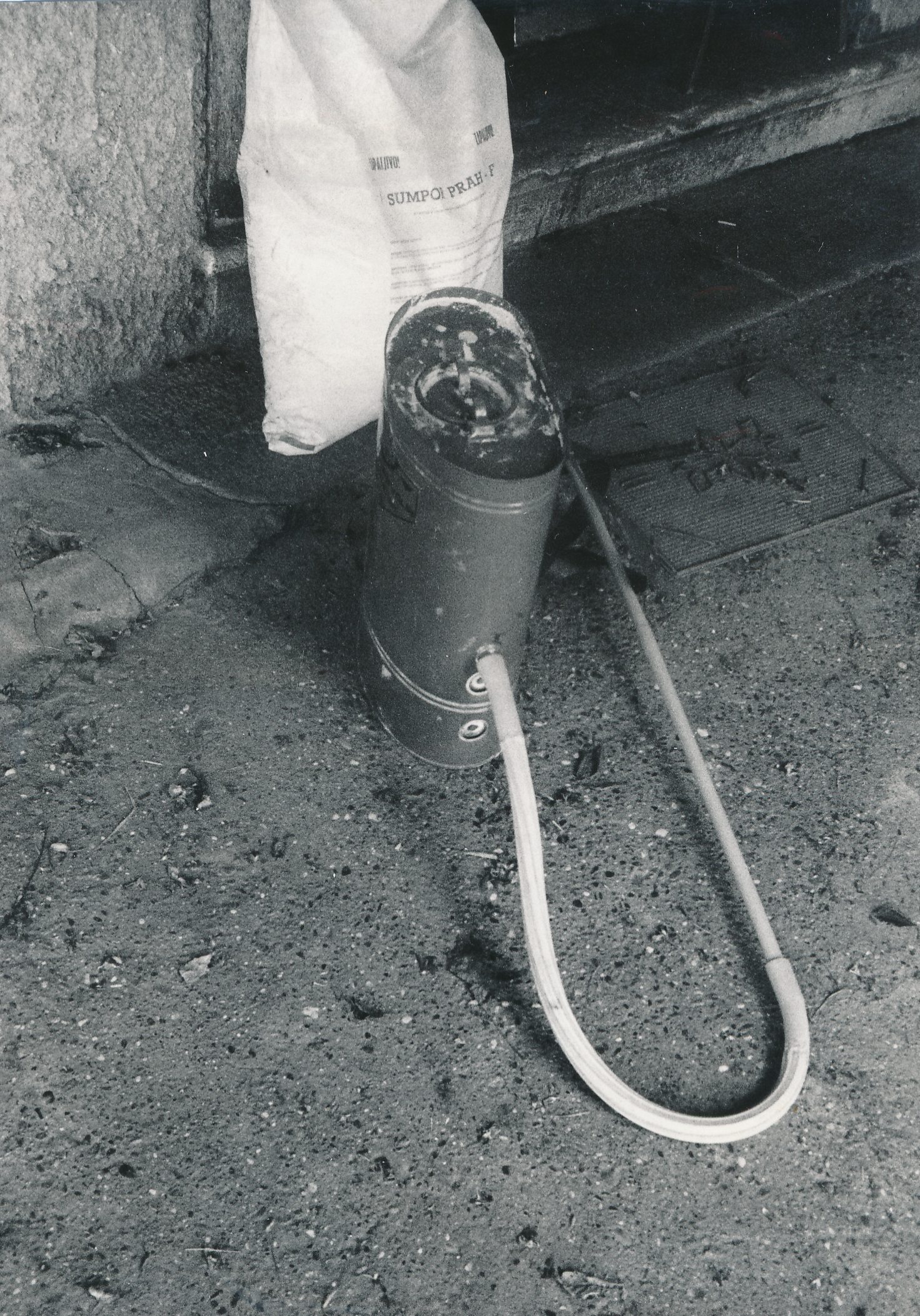 eika image